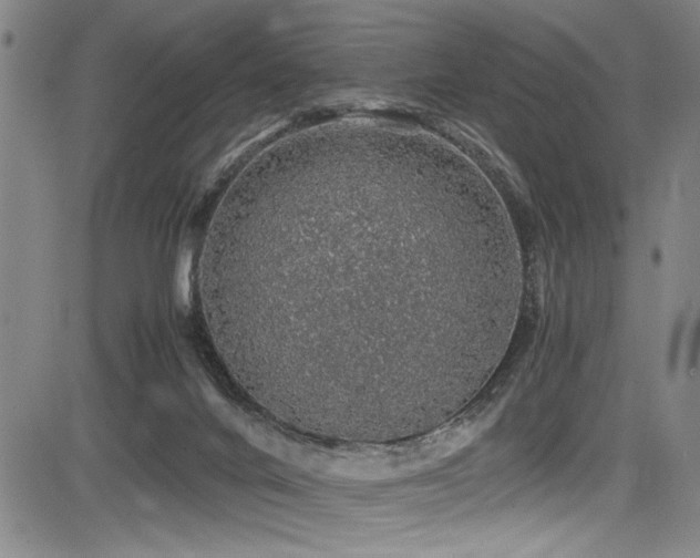 X0000083580024200702091130