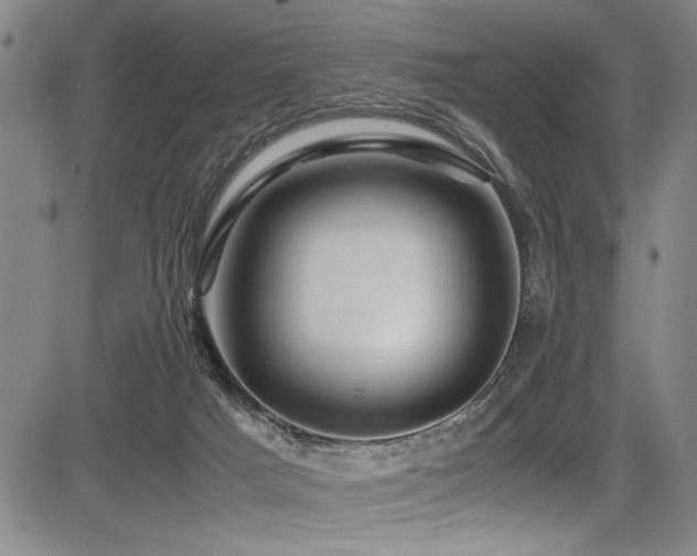 X0000083580025200702091130