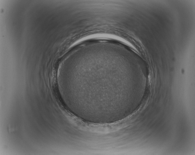 X0000083580029200702091130