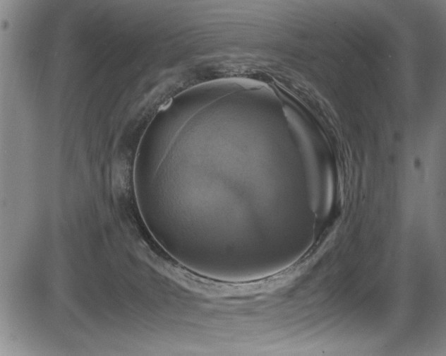 X0000083580035200702091130