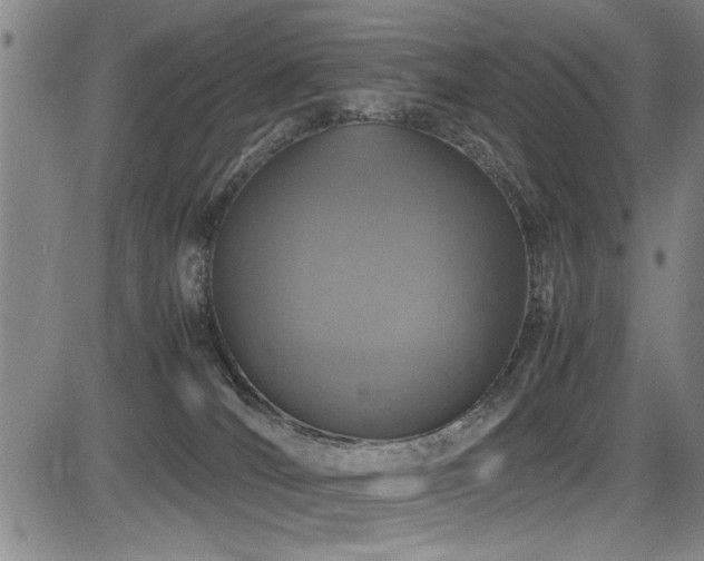 X0000083580036200702091130
