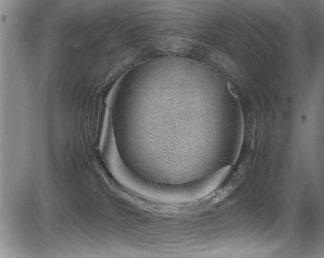 X0000083580040200702091130
