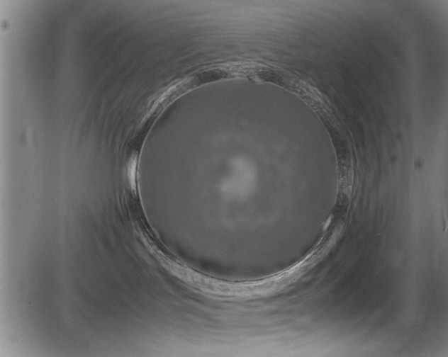 X0000083580047200702091130