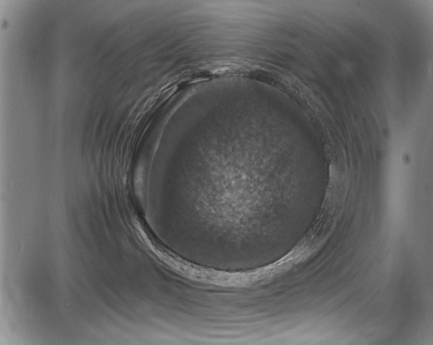 X0000083580048200702091130