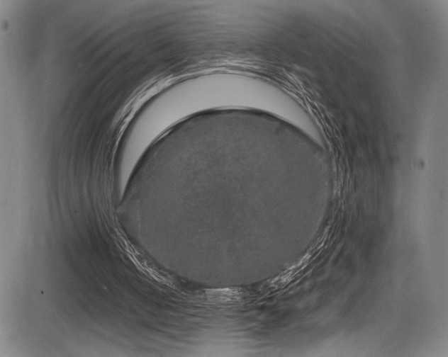 X0000083580050200702091129