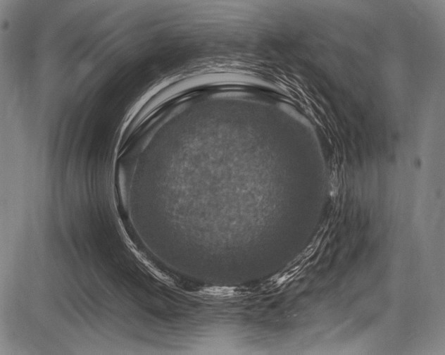 X0000083580052200702091129