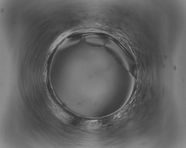 X0000083580054200702091129