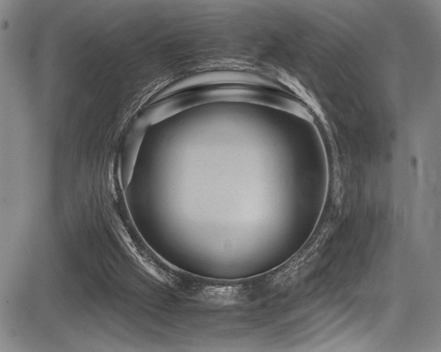 X0000083580057200702091129
