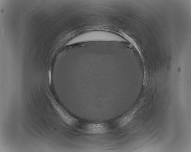 X0000083580061200702091129