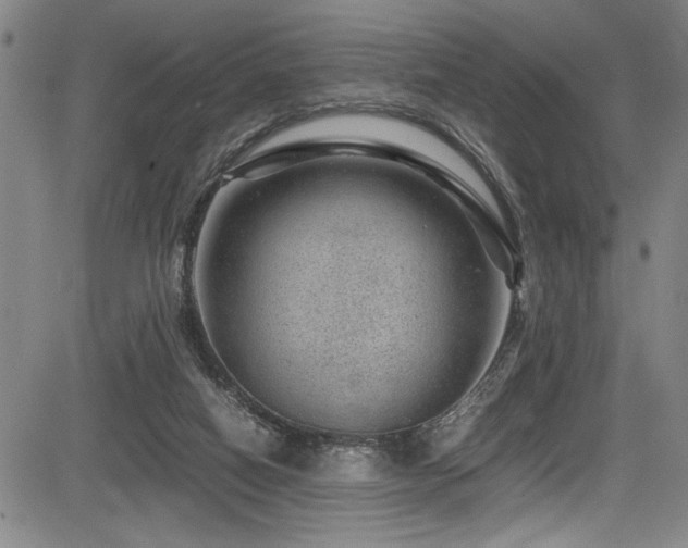 X0000083580066200702091129