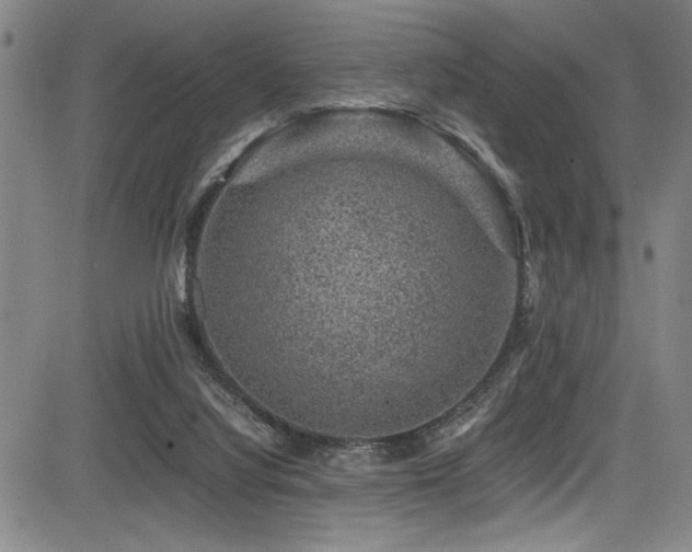 X0000083580068200702091129