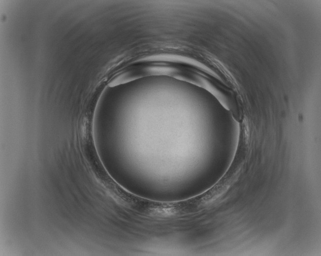 X0000083580071200702091129
