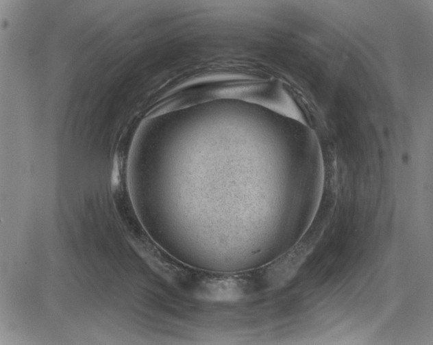 X0000083580075200702091129