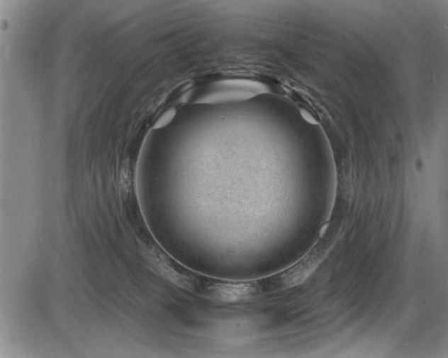 X0000083580085200702091129