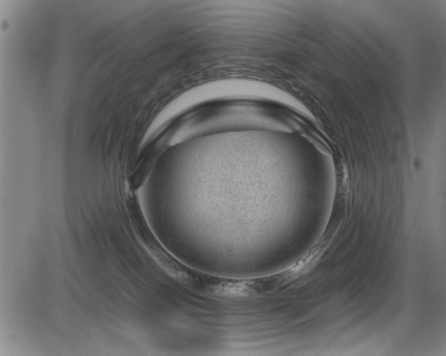X0000083580086200702091129