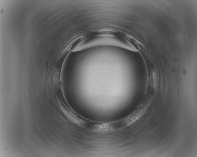 X0000083580092200702091129