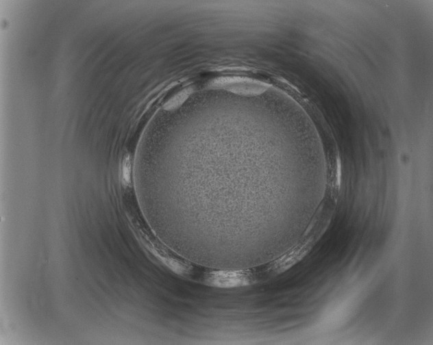 X0000083580095200702091130