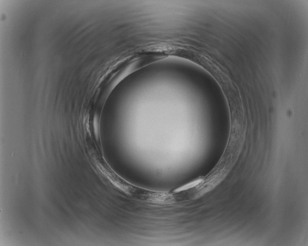 X0000083580096200702091130
