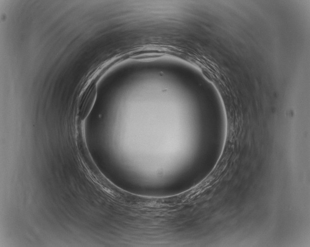 X0000083580098200702091129
