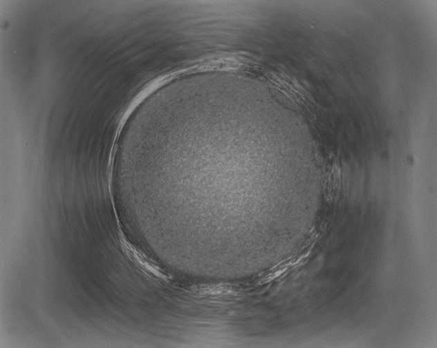 X0000083580100200702091129