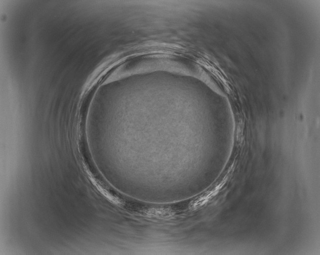 X0000083580101200702091129