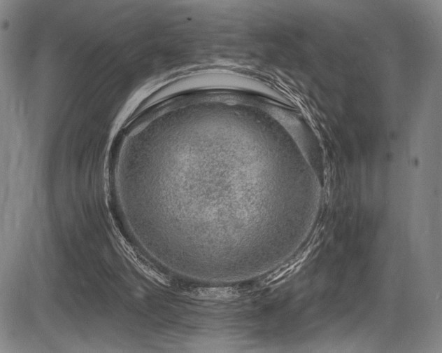 X0000083580102200702091129