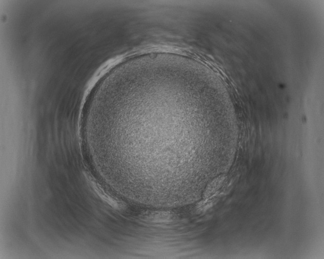 X0000083580104200702091129
