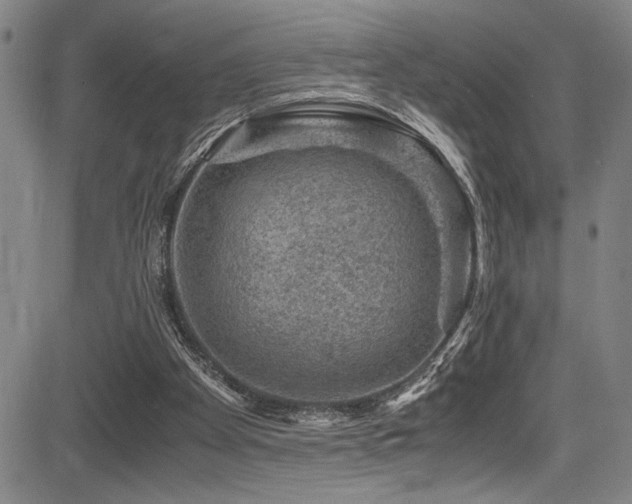 X0000083580105200702091129