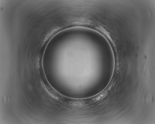 X0000083580106200702091129