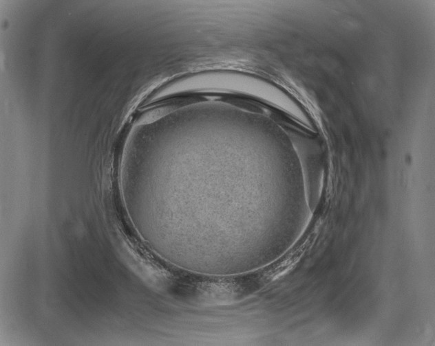 X0000083580107200702091129