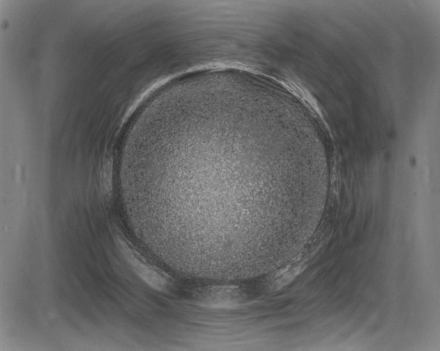 X0000083580108200702091129