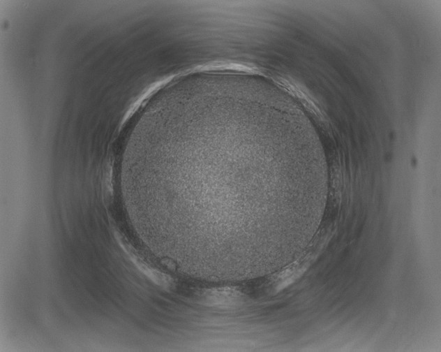 X0000083580112200702091128