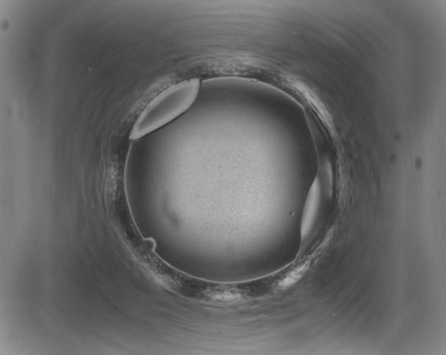 X0000083580113200702091128