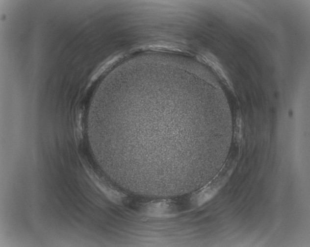 X0000083580116200702091128