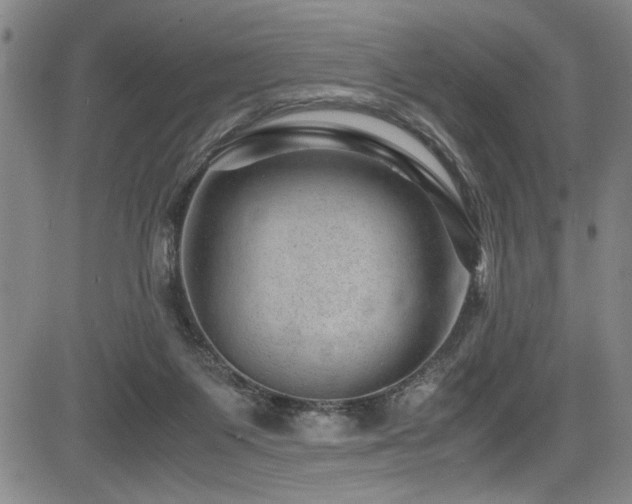 X0000083580119200702091128