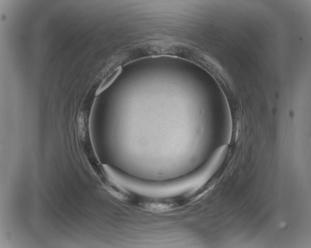 X0000083580121200702091128