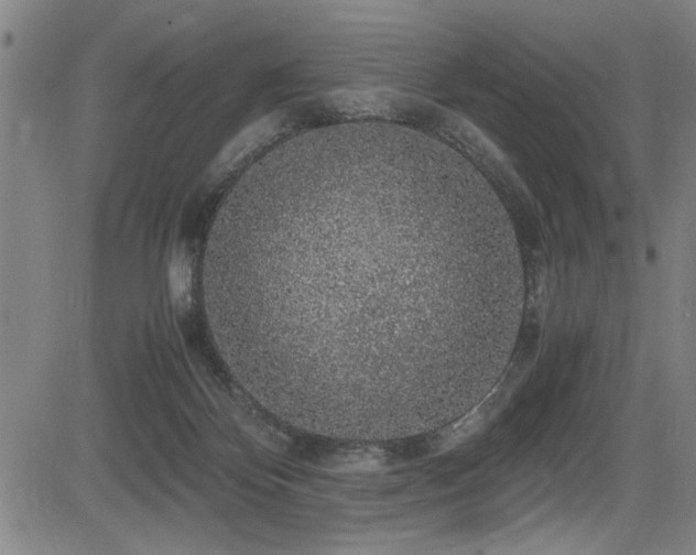 X0000083580124200702091128
