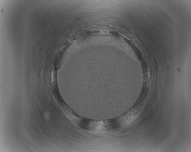 X0000083580131200702091128