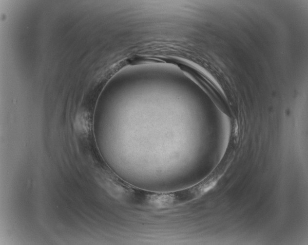 X0000083580135200702091128