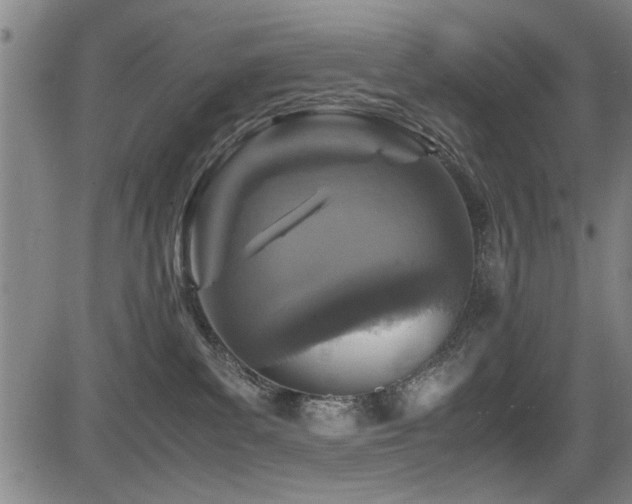X0000083580139200702091128