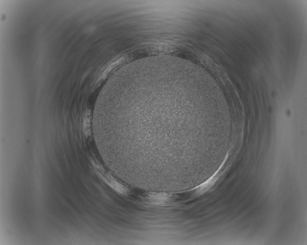 X0000083580144200702091128