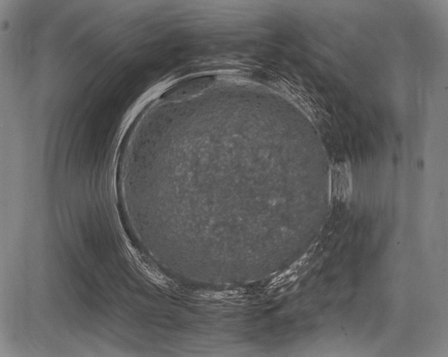 X0000083580147200702091127