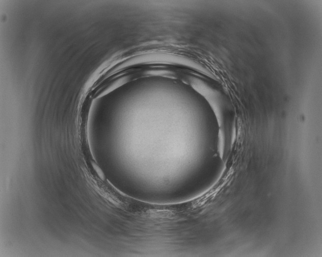 X0000083580150200702091127