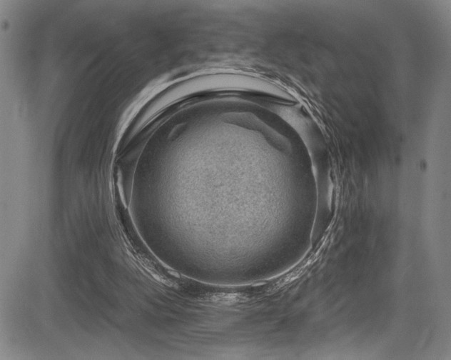 X0000083580152200702091127