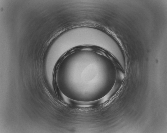 X0000083580154200702091127