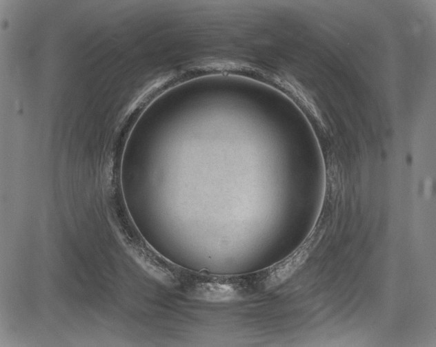 X0000083580159200702091127