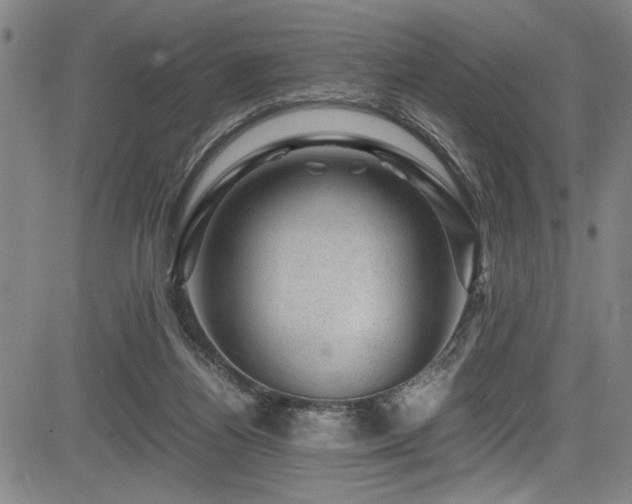 X0000083580164200702091128