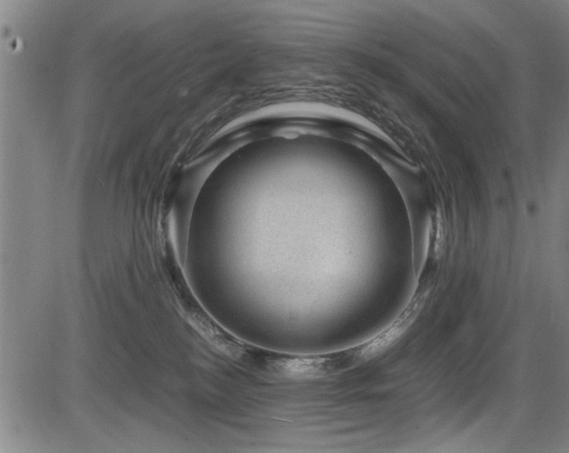 X0000083580184200702091128