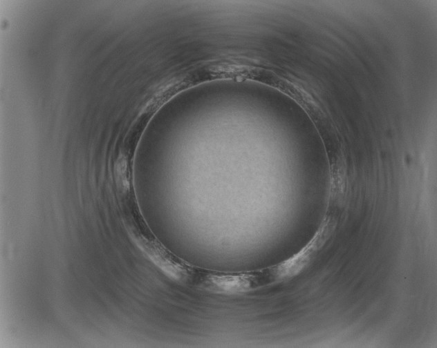 X0000083580187200702091128