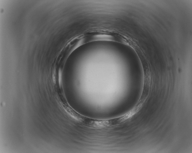 X0000083580188200702091128